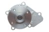 Помпа води Ford Maverick 2.4i 93-98/Nissan Terrano 2.4 93-07 INA 538 0509 10 (фото 5)
