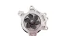Помпа води Toyota Avensis 00-08/Corolla 1.4-1.8 VVT-i 99-07(для полікліно-ременного приводу) INA 538 0548 10 (фото 2)