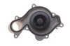 Помпа води Audi Q5/Q7/Q8/VW Touareg 3.0TSI/SQ5 TFSI quattro/Mild Hybrid 16- INA 538 1067 10 (фото 4)