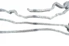 Комплект ГРМ (ланцюг + шестерня) MERCEDES CLK (A209), CLK (C209), CLS (C219), E (A207), E (C207), E T-MODEL (S211), E T-MODEL (S212), E (W211), E (W212), G (W463), GL (X164) 4.7/5.5 10.05-12.16 INA 559 1799 30 (фото 4)