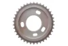 Комплект ланцюга ГРМ Ford Transit 2.4DI/2.2-2.4TDCI 06- (ланцюг, натяжник, шестерня) INA 559 1806 41 (фото 28)