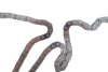 Фото 3 - комплект ланцюга ГРМ Ford Transit 2.4 TDCi 06-14, (ланцюг) INA 559 1812 40 Комплект ланцюга ГРМ Ford Transit 2.4 TDCi 06-14, (ланцюг) INA 559 1812 40 (фото 3)