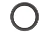 Комплект ланцюга ГРМ BMW X3 (E83)/3 (E46/E90) (N42B20/N46B20) 98-13, (ланцюг) INA 559 1819 40 (фото 10)