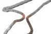 Комплект ланцюга ГРМ Hyundai H-1 (TQ)/Kia Sorento I (JC) 2.5CRDi 01- INA 559 1862 50 (фото 3)
