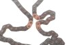 Фото 3 - комплект ланцюга ГРМ Hyundai H-1 (TQ)/Kia Sorento I (JC) 2.5CRDi 01- INA 559 1865 30 Комплект ланцюга ГРМ Hyundai H-1 (TQ)/Kia Sorento I (JC) 2.5CRDi 01- INA 559 1865 30 (фото 3)
