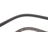 Ремінь генератора Smart Fortwo (451) 1.0/Turbo 07- (+AC) INA FB 4EPK738 (фото 3)