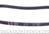 Ремень генератора Fiat Ducato 1.9D/TD 98-02/2.0JTD 01- (PS) INA FB 4PK755 (фото 2)