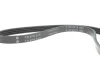 Ремінь генератора Hyundai Accent 1.4-1.6 95-10/Kia Cerato 1.6 04-/Rio II 1.4/1.6 05- INA FB 4PK815 (фото 4)