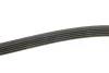 Ремінь генератора Mazda 323/626/ Opel Astra G/Vectra B/C 2.0/2.2 00-08 INA FB 5PK1030 (фото 3)