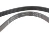 Фото 4 - ремінь генератора Citroen Jumper 2.8HDI 00-/Honda Accord 1.9-2.0 93-98/ Toyota Carina 2.0 96-97 INA FB 5PK1100 Ремінь генератора Citroen Jumper 2.8HDI 00-/Honda Accord 1.9-2.0 93-98/ Toyota Carina 2.0 96-97 INA FB 5PK1100 (фото 4)