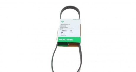 Ремінь генератора Fiat Palio 96-01/ Honda Accord IV/V 90-98/ Mitsubishi Lancer VI 95-08 INA FB 5PK955