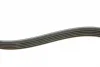 Ремінь генератора Fiat Scudo 2.0 JTD 99-06 (5PK970) INA FB 5PK970 (фото 3)