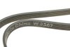Фото 3 - ремень генератора VW T5 1.9TDI/VW Caddy 1.9/2.0TDI (+AC) с гидравл. посыл. руль INA FB 6DPK1215 Ремень генератора VW T5 1.9TDI/VW Caddy 1.9/2.0TDI (+AC) с гидравл. посыл. руль INA FB 6DPK1215 (фото 3)