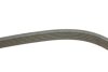 Фото 5 - ремень генератора VW T5 1.9TDI/VW Caddy 1.9/2.0TDI (+AC) с гидравл. посыл. руль INA FB 6DPK1215 Ремень генератора VW T5 1.9TDI/VW Caddy 1.9/2.0TDI (+AC) с гидравл. посыл. руль INA FB 6DPK1215 (фото 5)