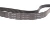 Фото 4 - ремінь генератора VW T5 1.9TDI/2.0 03- INA FB 6PK1113 Ремінь генератора VW T5 1.9TDI/2.0 03- INA FB 6PK1113 (фото 4)