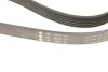 Ремень генератора Fiat Ducato/Citroen Jumper 1.9D/TD 94-/Renault Trafic 2.5dCI 03- (6PK1153) INA FB 6PK1153 (фото 4)