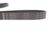 Фото 4 - ремінь генератора Renault Kangoo 1.9dTi/dCi 01- INA FB 6PK1210 Ремінь генератора Renault Kangoo 1.9dTi/dCi 01- INA FB 6PK1210 (фото 4)