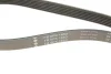 Ремень генератора Peugeot 206/Partner/Citroen Berlingo 1.1-1.6 02-/VW Fox/Polo 1.2 02-14 (6PK1453) INA FB 6PK1453 (фото 5)
