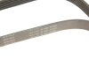 Ремень генератора Opel Astra 1.7CDTi 03-/Renault Megane/Laguna 1.9-3.0 97-03/BMW 1 (E81/E87) 04-11 INA FB 6PK1605 (фото 4)