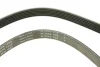 Ремінь генератора Ford Escort 1.4-1.8 92-00/Renault Laguna 1.8 93-01/VW Golf II/Passat B3/B4 88-97 INA FB 6PK1653 (фото 4)