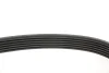 Ремінь генератора Fiat Doblo 1.3/1.6D 10-/Ducato 2.2D/Ford Transit 2.2TDCI 06- INA FB 6PK1670 (фото 4)