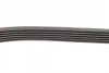 Ремінь генератора Opel Combo/Astra/Vectra/Omega 1.2-2.2 91-03/BMW 1 (E81/E87) 2.0D 04-11 INA FB 6PK1800 (фото 2)
