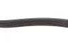 Ремінь генератора MB Sprinter CDI (-AC) (з обводним роликом) (6PK2260) INA FB 6PK2260 (фото 3)