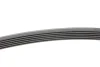 Ремінь генератора MB E-class (W210) 4.2/5.0/Audi A8 3.0D 10-18 (6PK2433) INA FB 6PK2433 (фото 2)