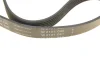 Ремінь генератора Citroen Jumper/Fiat Ducato/Peugeot Boxer 2.0 94- (6PK700) INA FB 6PK700 (фото 3)
