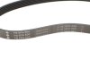 Ремень генератора Citroen Berlingo/Peugeot Partner 1.6HDI (6PK800) INA FB 6PK800 (фото 4)