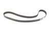 Комплект ГРМ Opel Astra H/Corsa D 1.7CDTI 06- (131x25) IPD 64-3996 (фото 4)