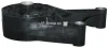 Подушка двигуна Opel Vectra C/Signum 1.6/1.8 16V 02-09 JP GROUP 1217905800 (фото 1)