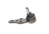 Опора шаровая (передняя/снизу)) Chevrolet Tacuma /Rezzo 00- (d=15.95mm) KAPIMSAN 05-04405 (фото 3)