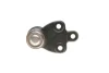 Опора кульова (передня/знизу) Ford Focus 18- KAPIMSAN 08-04729 (фото 2)
