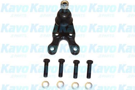 Опора кульова (передня/знизу) Hyundai Terracan 01-06 PARTS KAVO SBJ-3024