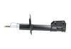 Амортизатор (передний) Fiat Punto 99-12 PARTS KAVO SSA-10096 (фото 4)