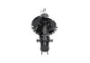 Амортизатор (передний) Nissan Micra III 03-10 (R) PARTS KAVO SSA-6517 (фото 1)