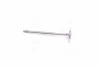 Впускний клапан (29,5x6x100,9) AUDI A1, A2, A3 SEAT ALHAMBRA, ALTEA, ALTEA XL, AROSA, CORDOBA, CORDOBA VARIO, IBIZA II, IBIZA III, IBIZA IV, IBIZA IV SC, IBIZA IV ST, INCA, LEON 1.2-1.6 09.96-05.22 KOLBENSCHMIDT 39522 (фото 1)
