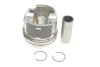 Поршень VW T5 2.5TDI (81.01mm/STD) (1-2 циліндр) KOLBENSCHMIDT 41091600 (фото 1)