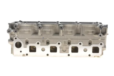 Головка блоку циліндрів Nissan Pathfinder 2.5 dCi/X-Trail 2.2 dCi 01- KOLBENSCHMIDT 50003175