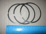 Кільця поршневі Caddy/Golf/Passat 2.0 SDI/TDI 04- (81mm/STD) KOLBENSCHMIDT 800072510000 (фото 1)