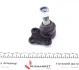 Опора кульова (передня/знизу) Renault Trafic/Opel Vivaro 01- LEMFORDER 27219 02 (фото 4)