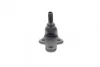 Опора кульова (передня/знизу) Ford Focus II 1.4-2.0TDCi 04-12/C-Max 07-10/Volvo C30/C70/S40 04- LEMFORDER 30461 03 (фото 2)
