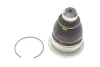 Опора кульова (передня/знизу) Renault Clio/Logan/Megane/Scenic 02- LEMFORDER 37809 01 (фото 1)
