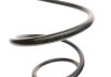 Пружина (передняя) BMW 1 (F20/F21)/3 (F30/F80) 11- B47/N55/N57 (с M-техникой/со спорт.ход.ч.) LESJOFORS 4008528 (фото 2)