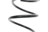 Пружина (передня) Renault Twingo II 1.2 16V 07-14 (хетчбек) LESJOFORS 4072981 (фото 2)