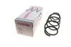 Пружина (передня) VW Polo 1.4TDI 01-09 (осн. BlueMotion)/Fox 1.2/1.4 05-11 (нах.зад.частина) LESJOFORS 4095087 (фото 1)