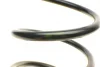 Пружина (передня) VW Passat B6 1.6/FSI 05-10 (седан/унів.)/Passat CC B7 1.4/1.8TSI МКПП 11-16 (купе) LESJOFORS 4095088 (фото 2)