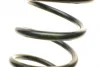 Пружина (задня) Mitsubishi ASX 1.6MIVEC/1.8DI-D 10-/Citroen C4/Peugeot 4008 1.6/1.6-1.8HDi 12- (SUV) LESJOFORS 4259246 (фото 2)
