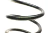 Пружина (задня) Nissan Terrano 2.4/2.7TD/TDi 96-07 (всюдих.)/Ford Maverick 2.4i/2.7TD 93-98 (SUV) LESJOFORS 4262027 (фото 2)
